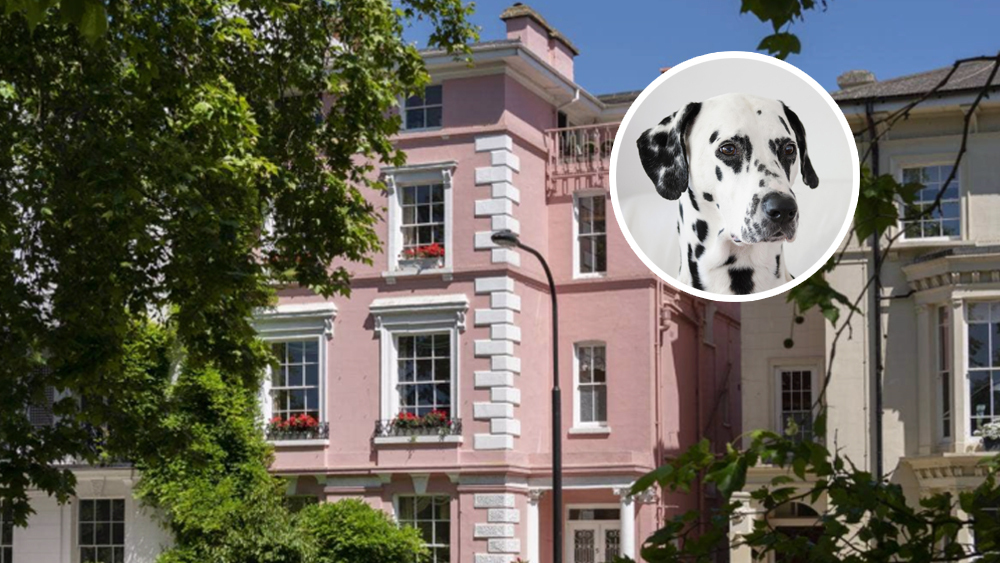 The real life 101 dalmatians london mansion hits the market The